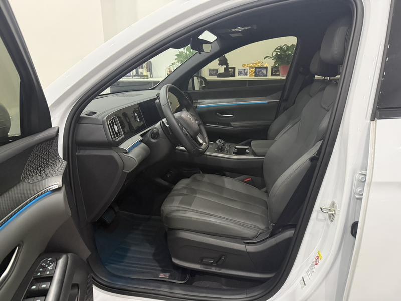 BYD Song Pro Hybrid, 2024 — фото 10 из 12