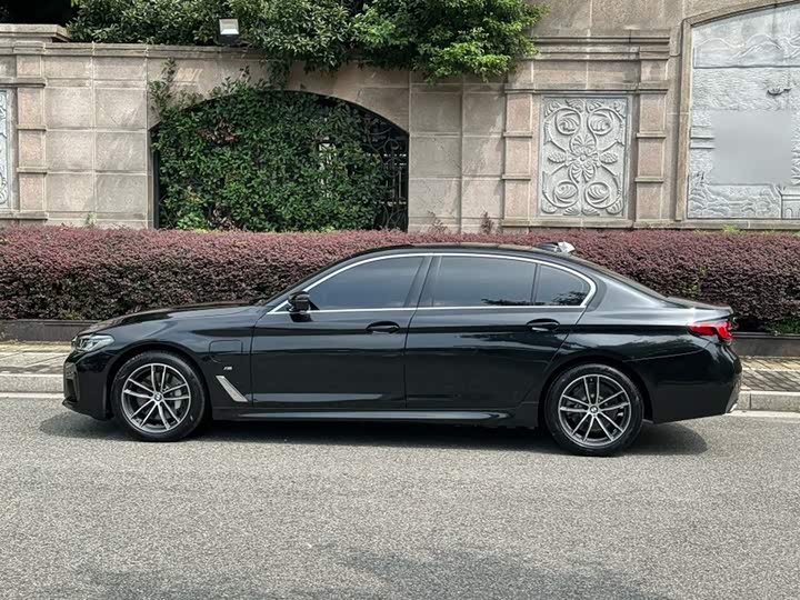 BMW 5 Series Hybrid, 2021 — фото 9 из 9