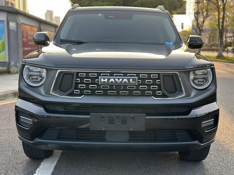 Haval H-Dog, 2024 — фото 2 из 12