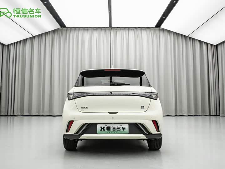 BYD Dolphin, 2023 — фото 6 из 9