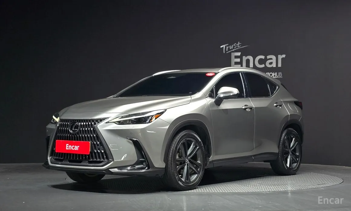 Lexus NX, 2022 — купить в Чебоксарах под ключ