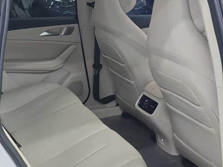 Dongfeng Forthing Xinghai S7, 2024 — фото 8 из 9