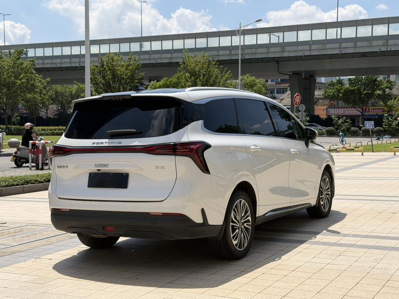 Dongfeng Forthing Yacht, 2023 — фото 6 из 11