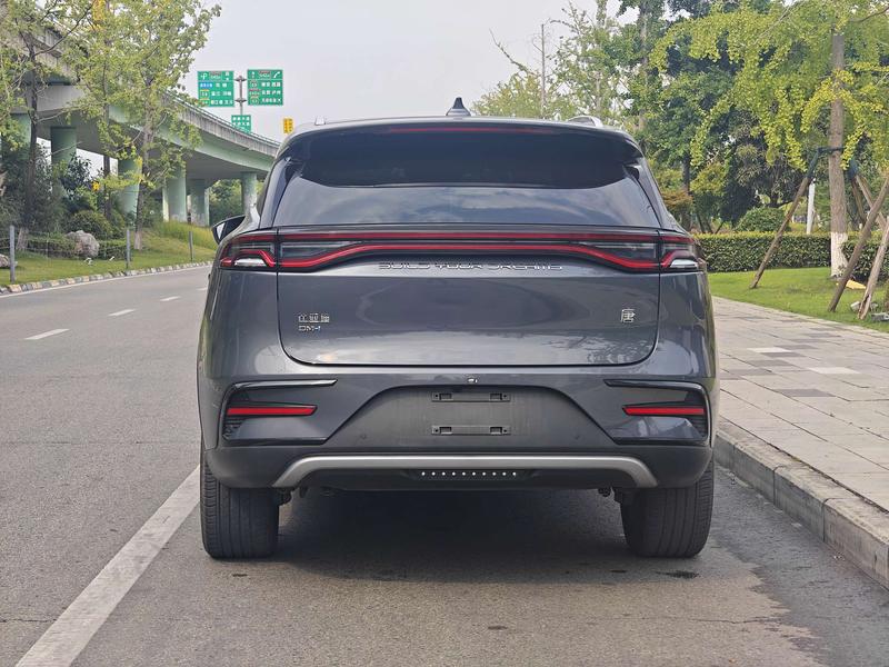 BYD Tang Hybrid/EV, 2023 — фото 5 из 12