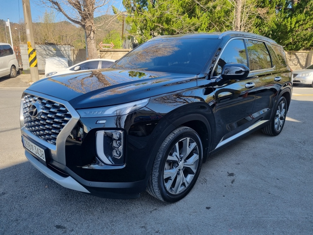 Hyundai Palisade, 2021 — купить в Санкт-Петербурге под ключ