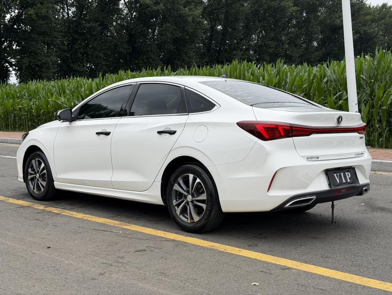 Changan Eado Plus, 2023 — фото 4 из 10