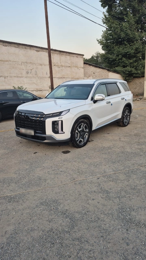 Hyundai Palisade, 2024 — фото 2 из 12
