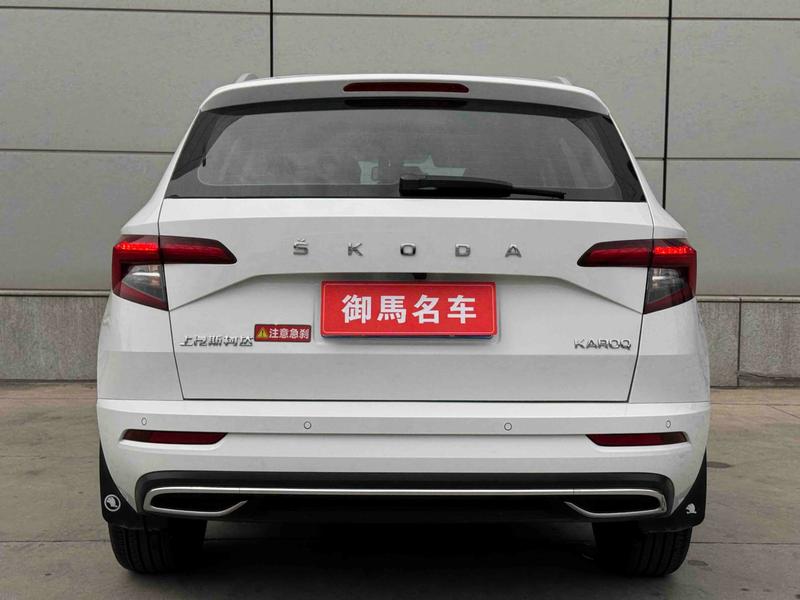 Skoda Karoq, 2024 — фото 5 из 11
