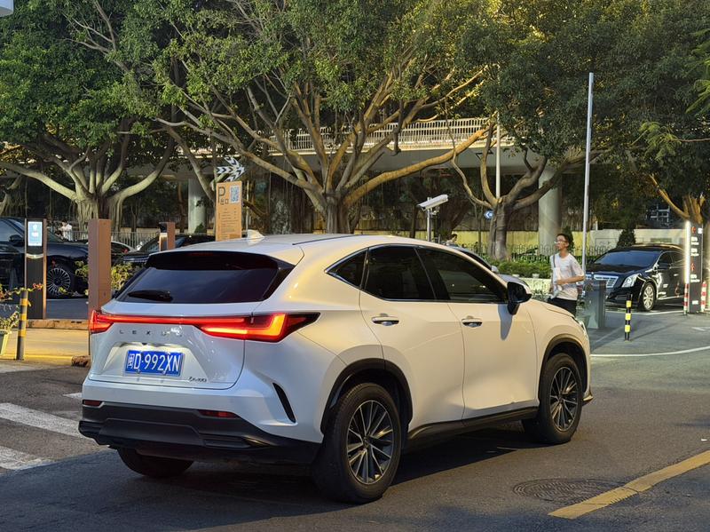 Lexus NX, 2022 — фото 6 из 11
