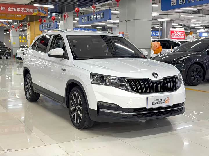 Skoda Kamiq, 2022 — фото 2 из 9