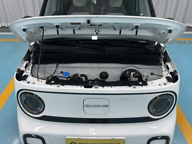 Geely Galaxy Panda Mini, 2024 — фото 12 из 12