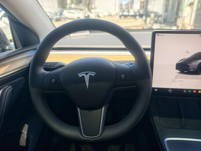 Tesla Model Y, 2023 — фото 9 из 12