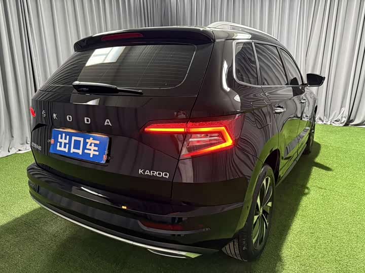 Skoda Karoq, 2023 — фото 5 из 9