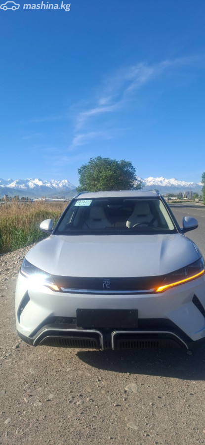 BYD Yuan UP, 2024
