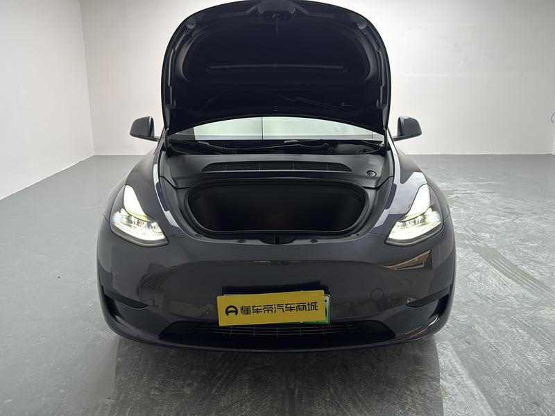 Tesla Model Y, 2022 — фото 12 из 12