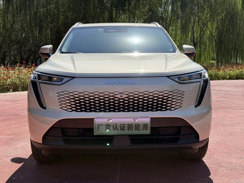 Haval Ruge Max, 2023 — фото 2 из 10