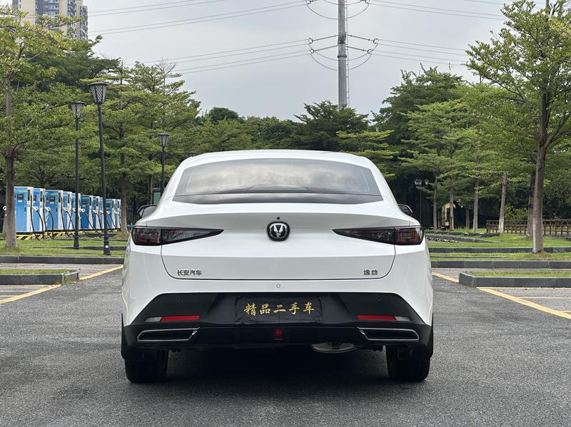 Changan Eado Plus, 2024 — фото 6 из 12