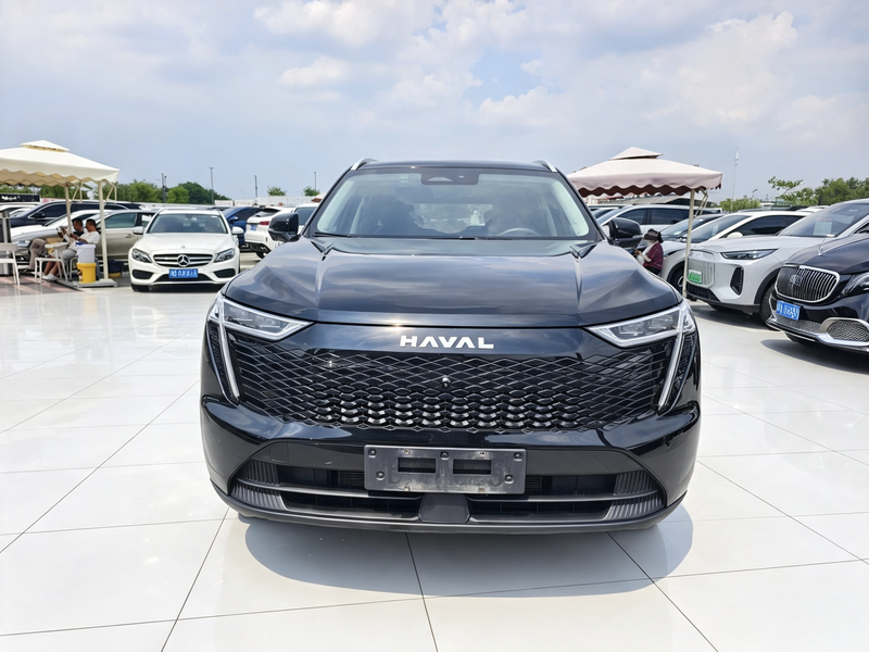 Haval Ruge Max, 2023 — фото 2 из 12