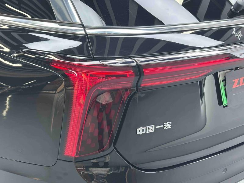 Hongqi E-HS9, 2023 — фото 9 из 12