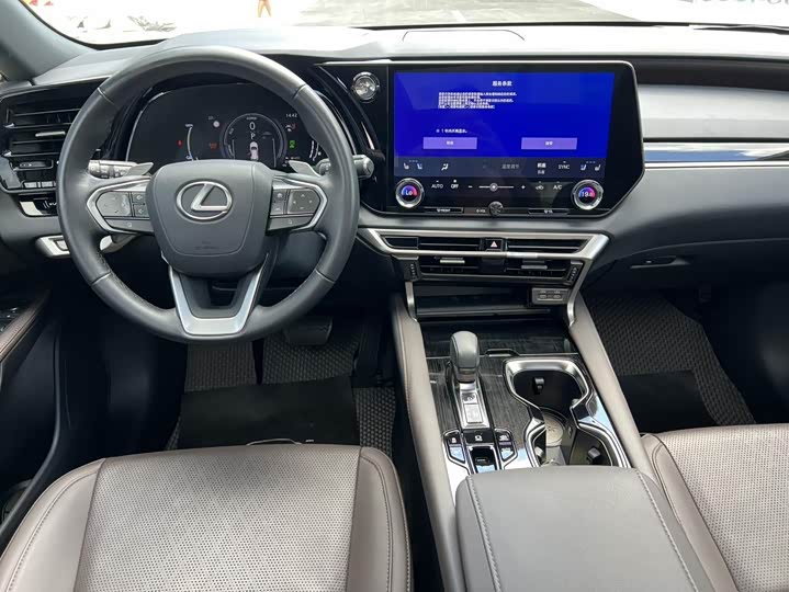 Lexus RX Hybrid, 2023 — фото 8 из 9