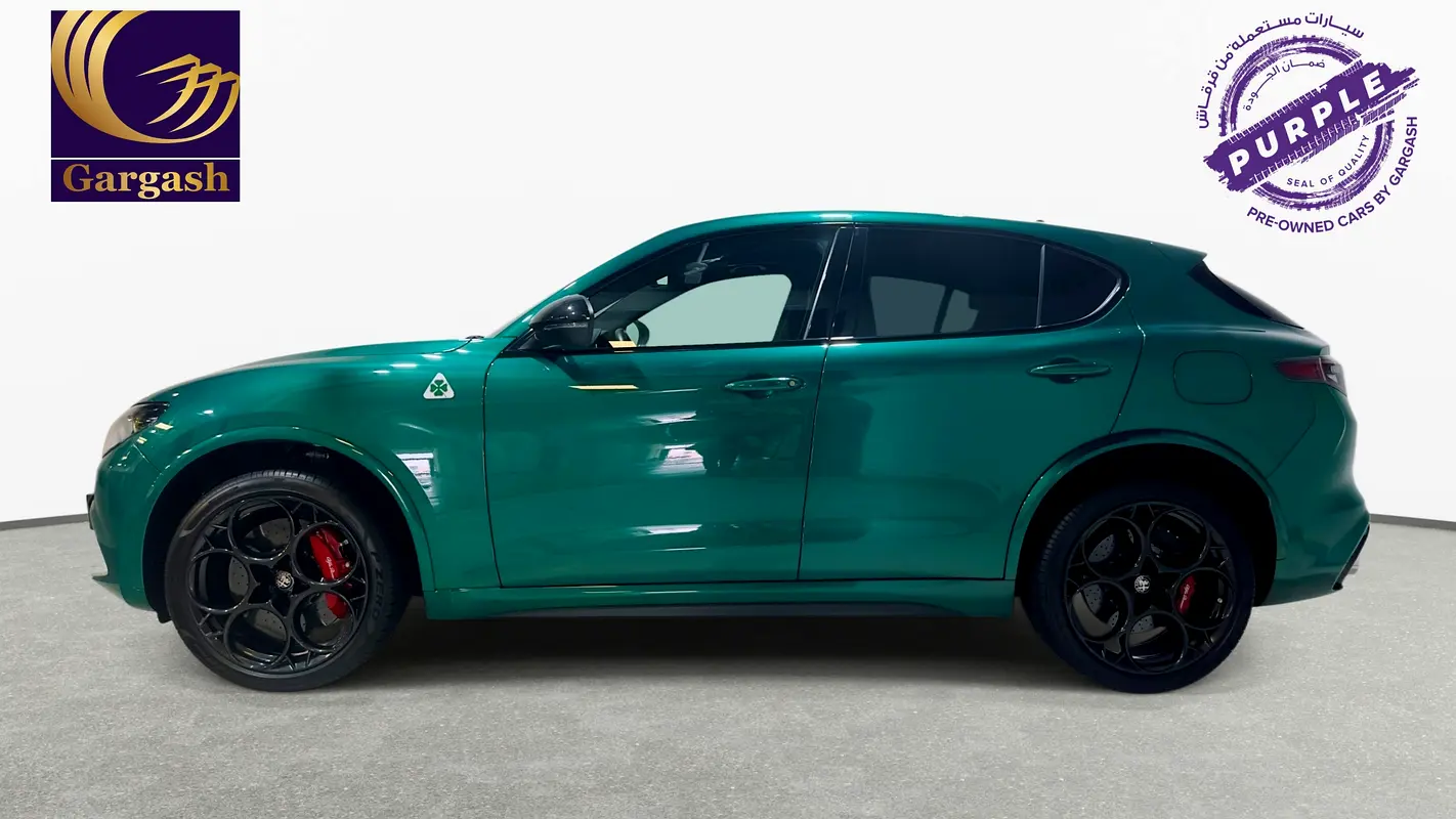 Alfa Romeo Stelvio, 2024 — фото 3 из 10