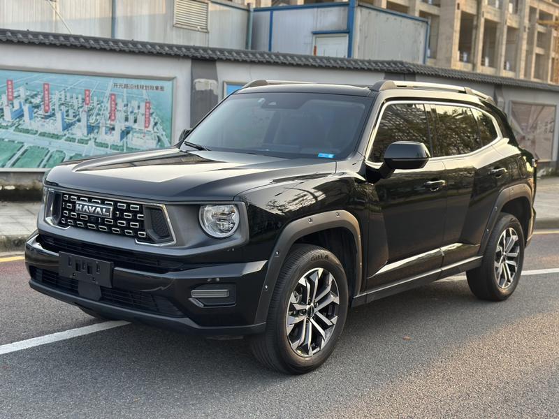 Haval H-Dog, 2024 — купить в Перми под ключ