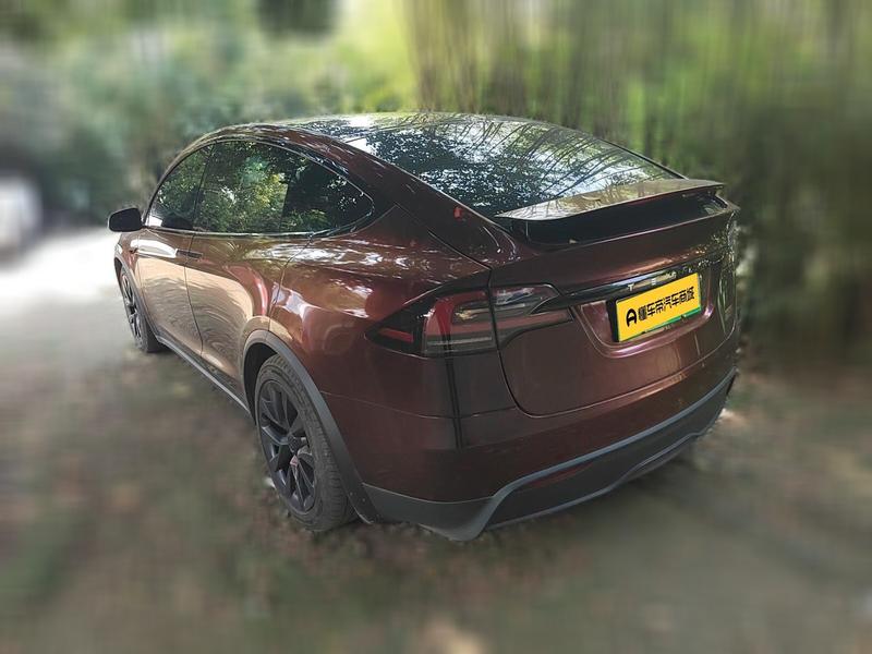 Tesla Model X, 2023 — фото 4 из 12