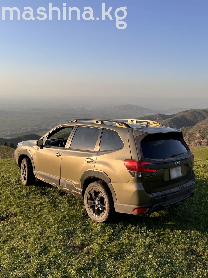 Subaru Forester, 2022 — фото 4 из 12