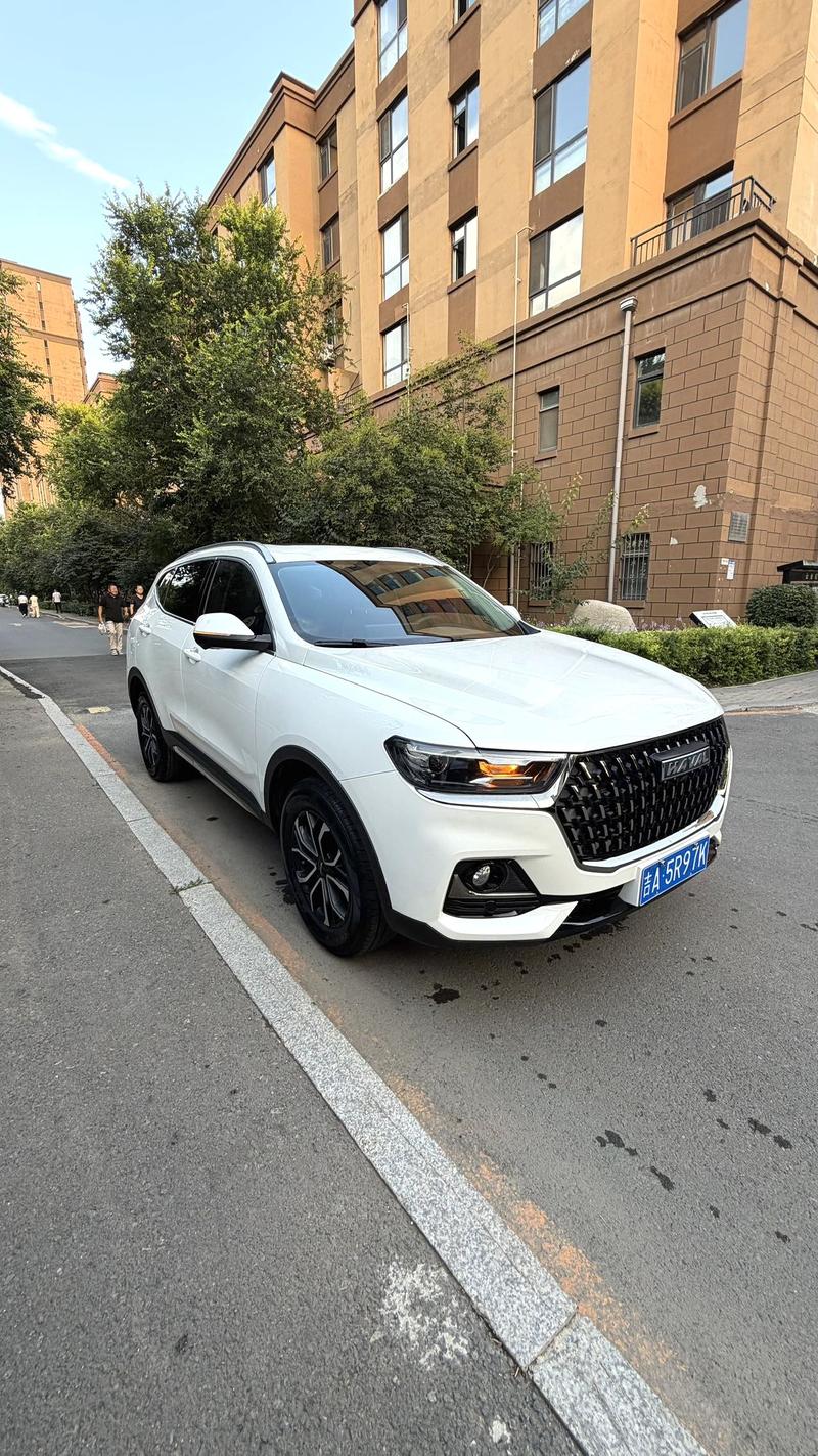 Haval H6, 2023 — фото 3 из 8