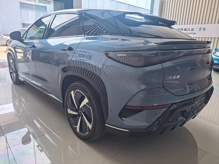 BYD Sea Lion 07 EV, 2024 — фото 7 из 9