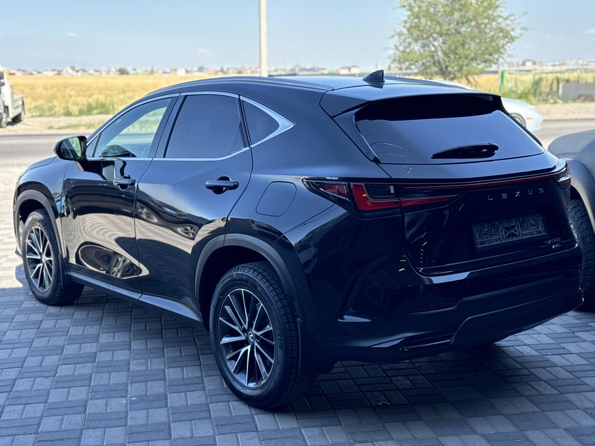 Lexus NX, 2023 — фото 8 из 8