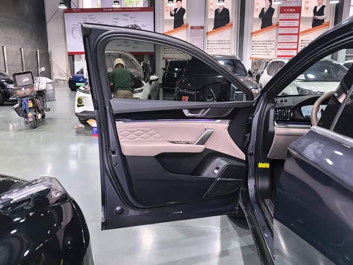 BYD Tang Hybrid/EV, 2023 — фото 7 из 9
