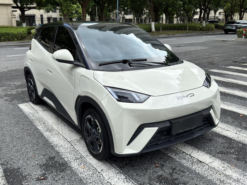 BYD Seagull, 2023 — фото 3 из 12