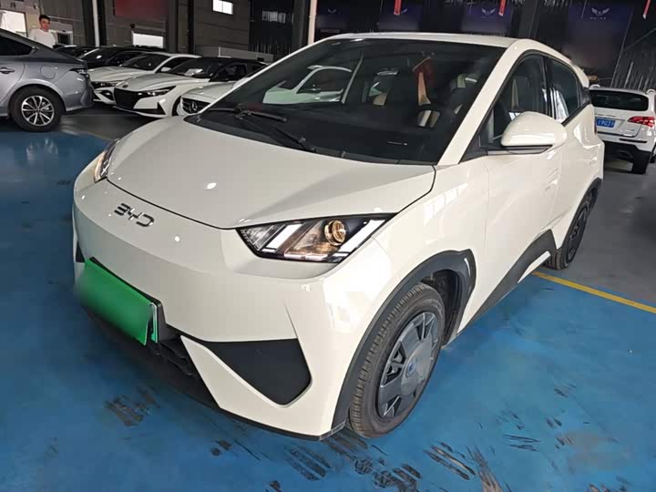 BYD Seagull, 2026 — купить в Пензе под ключ