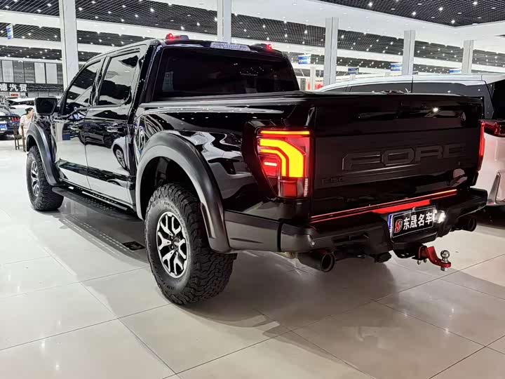 Ford F-150 Raptor, 2023 — фото 4 из 9