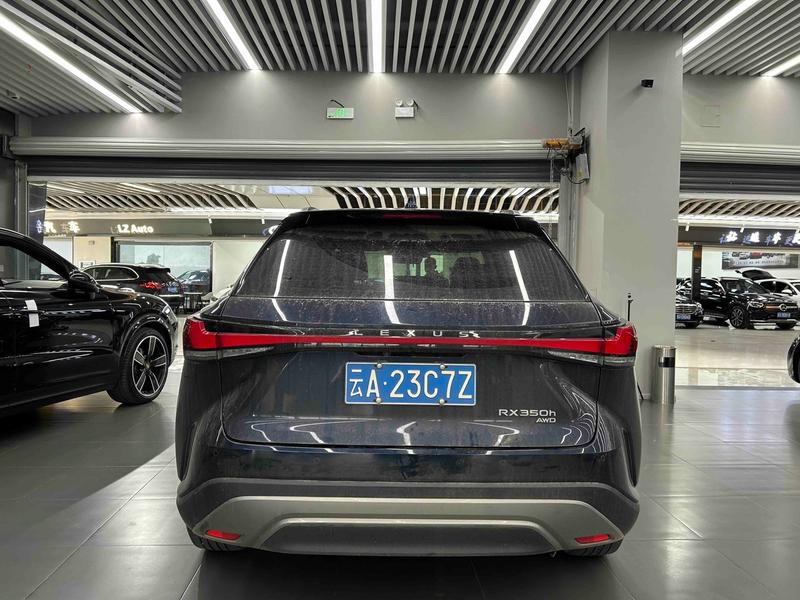 Lexus RX, 2024 — фото 4 из 10