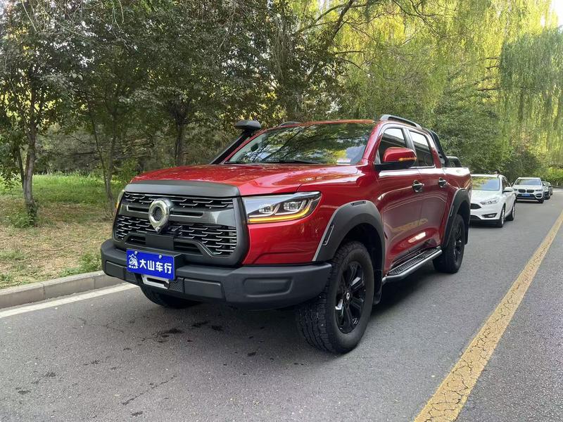 Great Wall Pao, 2021 — купить в Воронеже под ключ
