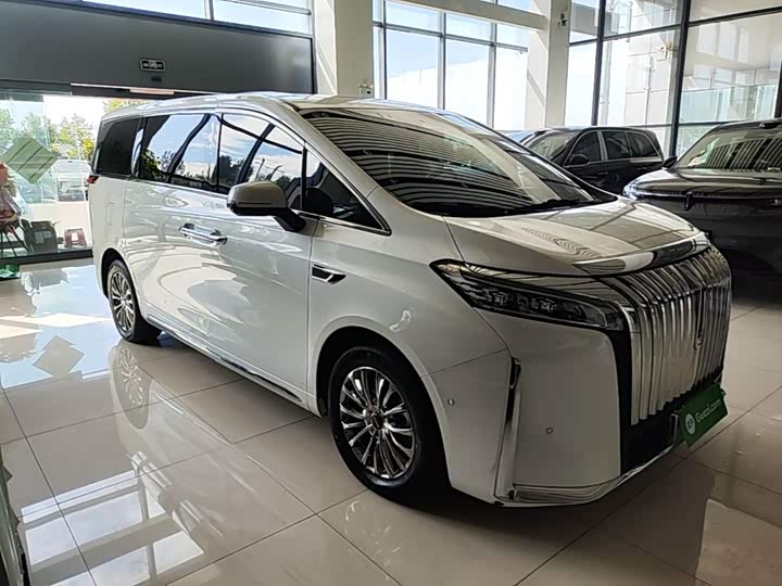 Wey 80 Hybrid, 2024 — фото 4 из 9