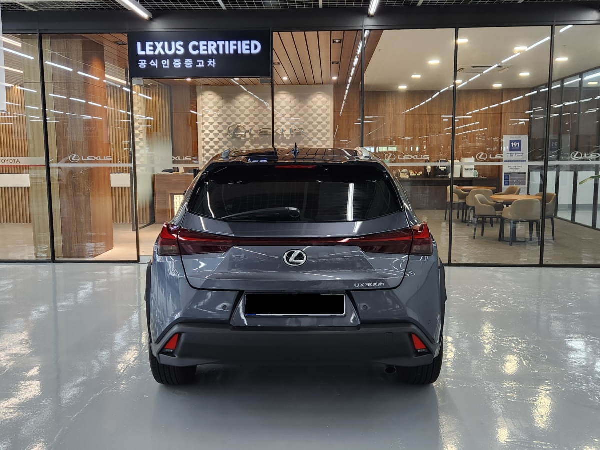 Lexus UX, 2025 — фото 4 из 12
