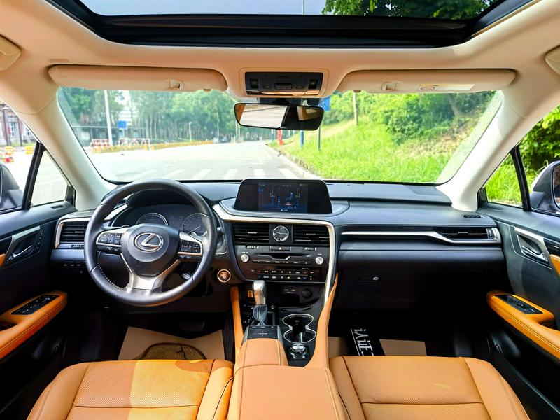 Lexus RX, 2022 — фото 9 из 12