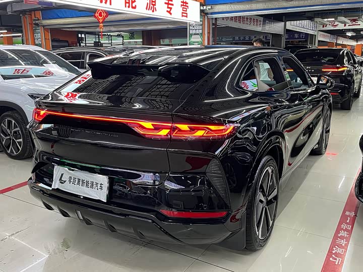 BYD Song L, 2023 — фото 6 из 9