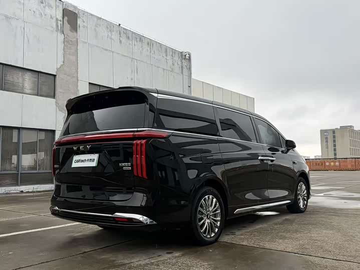 Wey 80 Hybrid, 2025 — фото 9 из 9