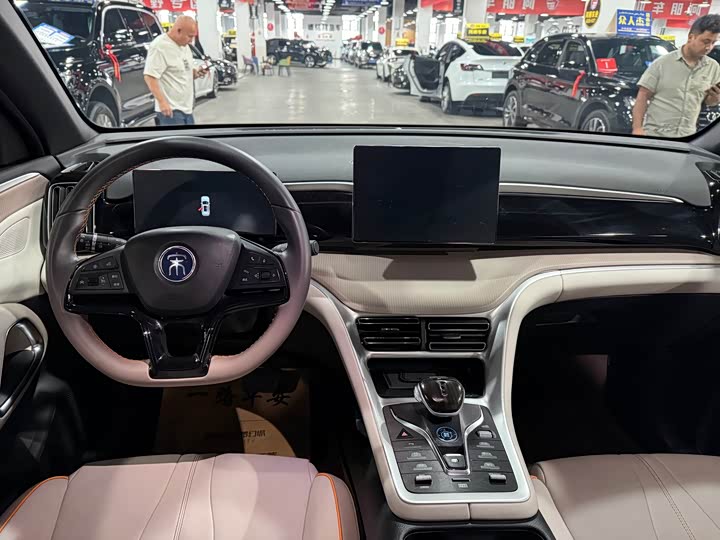 BYD Song Pro Hybrid, 2024 — фото 7 из 9
