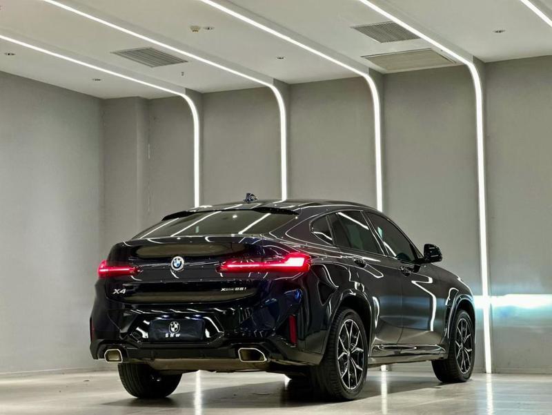 BMW X4, 2024 — фото 6 из 9