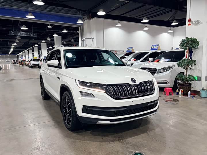 Skoda Kodiaq, 2021 — фото 2 из 9