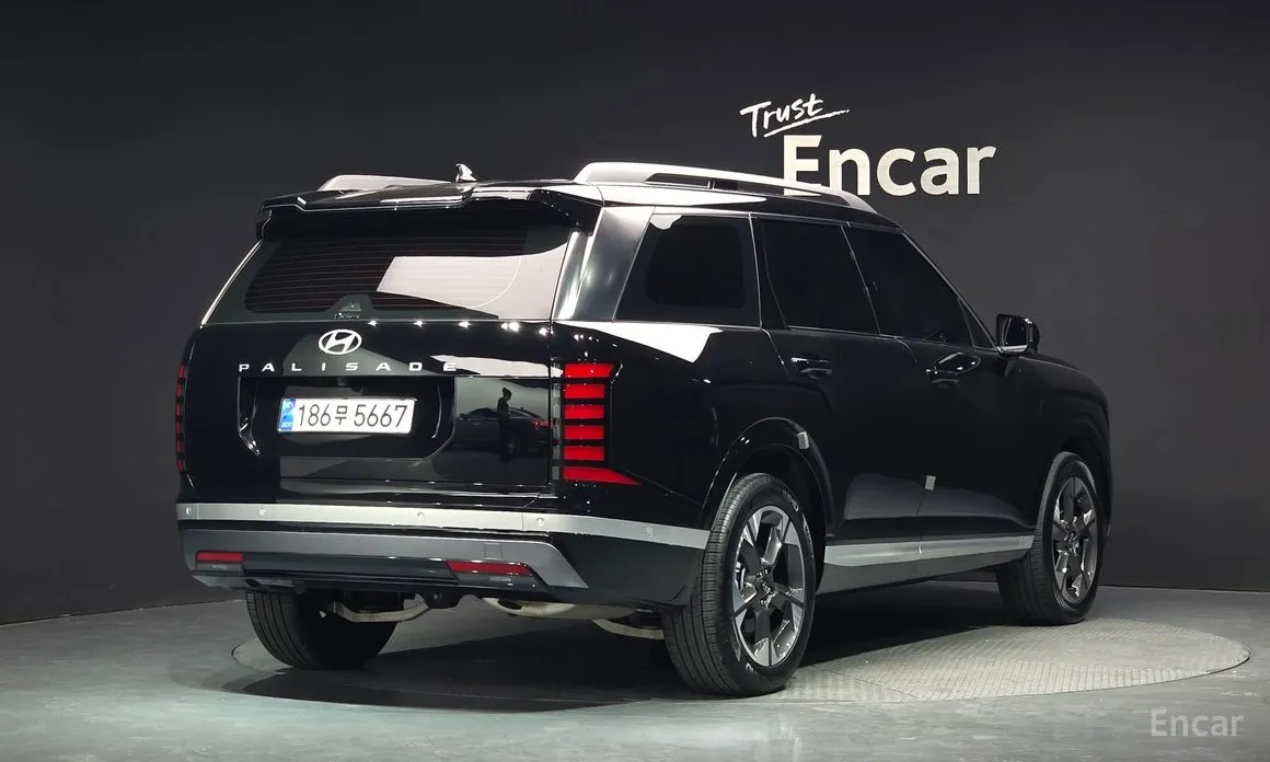 Hyundai Palisade, 2024 — фото 2 из 12