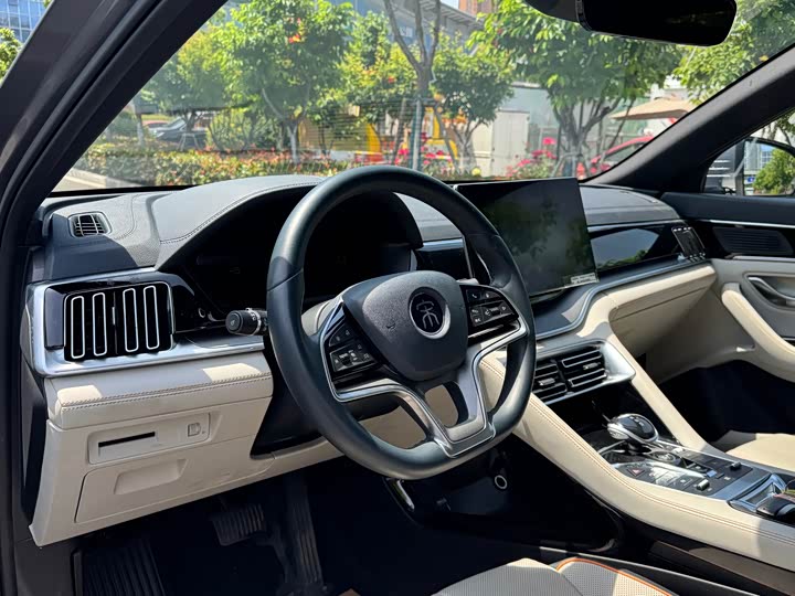 BYD Song Plus Hybrid/EV, 2023 — фото 8 из 9