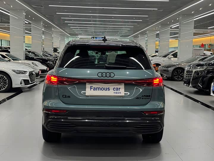 Audi Q5 e-tron, 2024 — фото 5 из 9