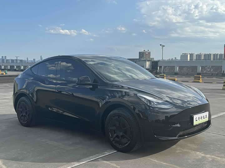 Tesla Model Y, 2022 — фото 3 из 9