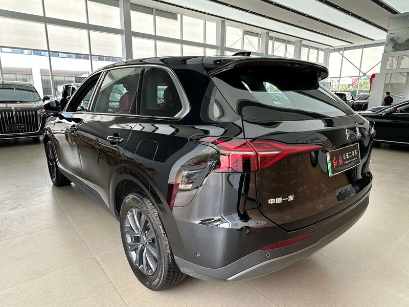 Hongqi HS6 Hybrid, 2025 — фото 4 из 12